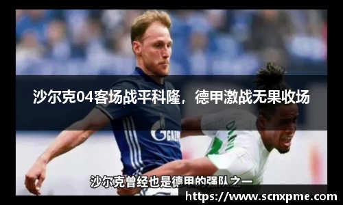 3377体育官网