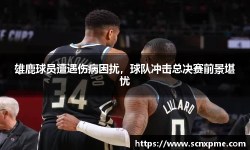 雄鹿球员遭遇伤病困扰，球队冲击总决赛前景堪忧