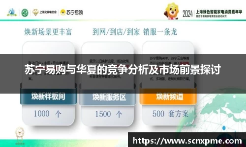 苏宁易购与华夏的竞争分析及市场前景探讨