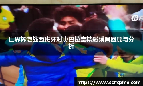 3377体育平台