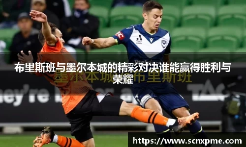 3377体育官网