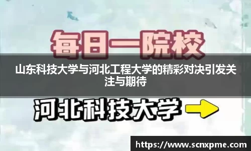 3377体育