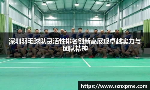 3377体育官网