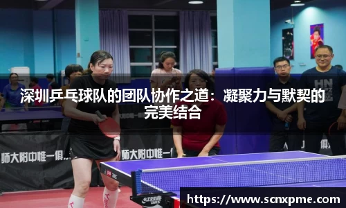 深圳乒乓球队的团队协作之道：凝聚力与默契的完美结合